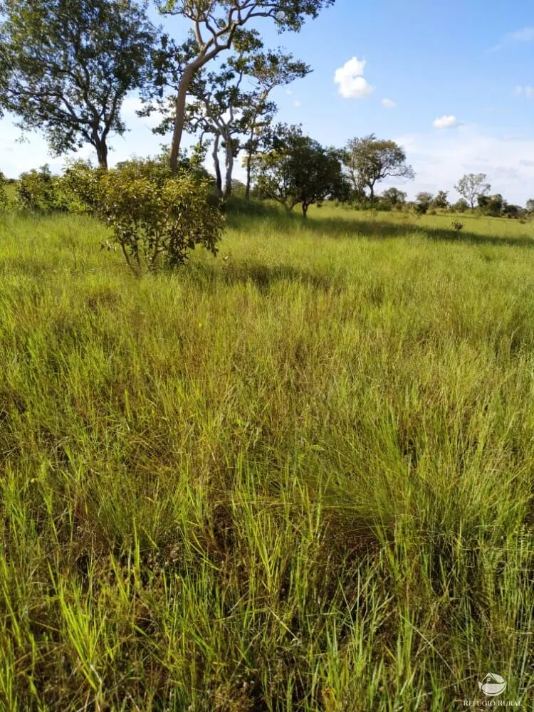 Fazenda à venda de 7.800 ha em Luciara, MT, Brasil