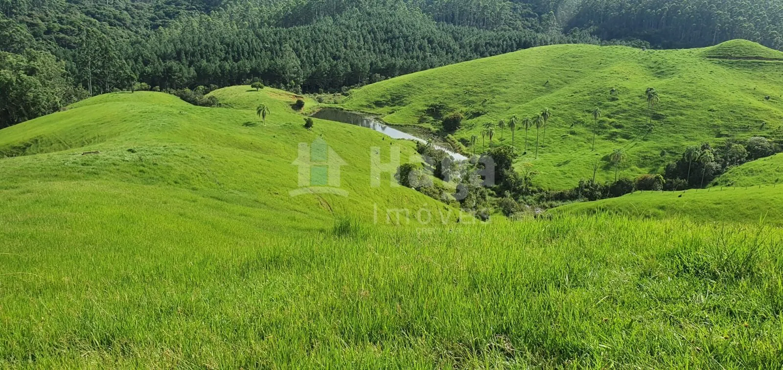 Fazenda à venda de 64 ha em Imaruí, SC, Brasil