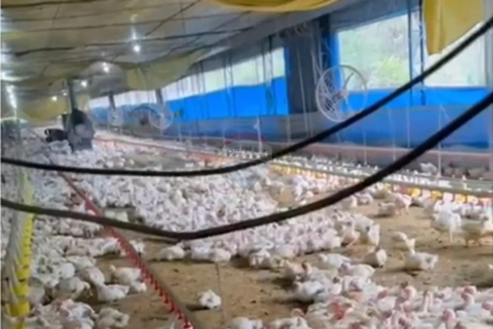 Sítio à venda de 38 ha em Bragança Paulista, SP, Brasil