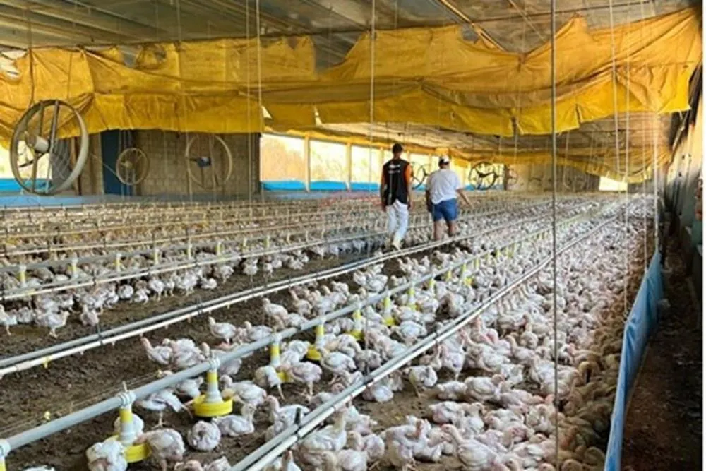 Sítio à venda de 38 ha em Bragança Paulista, SP, Brasil