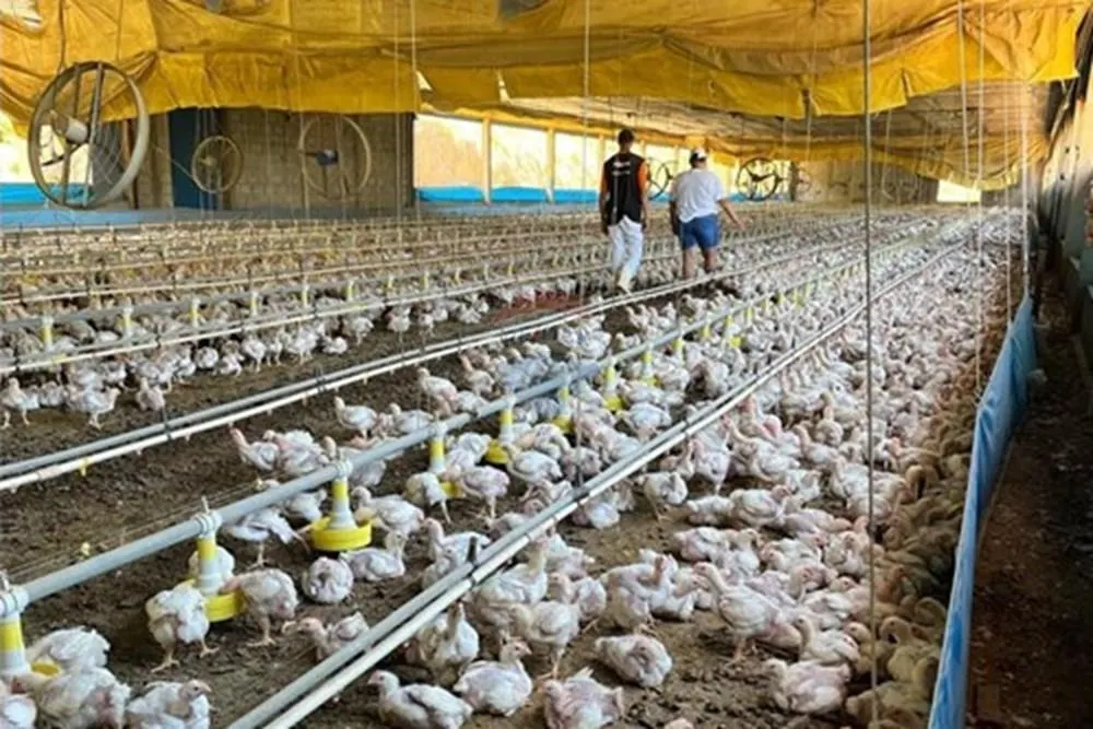 Sítio à venda de 38 ha em Bragança Paulista, SP, Brasil