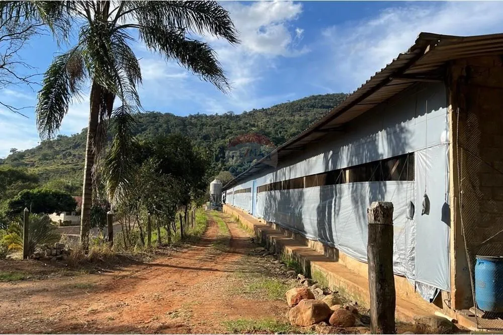 Sítio à venda de 38 ha em Bragança Paulista, SP, Brasil