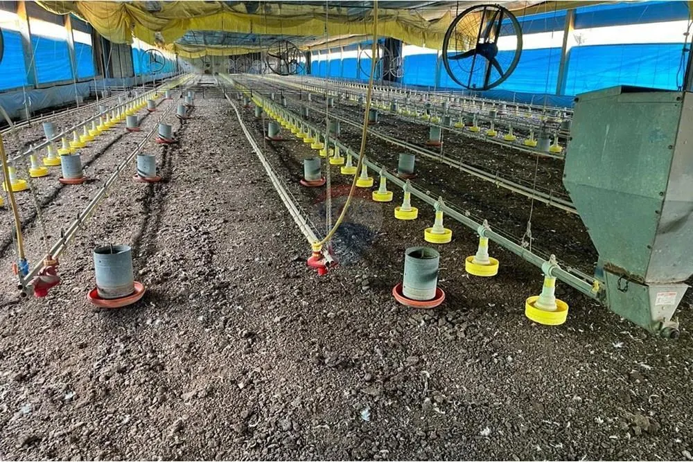 Sítio à venda de 38 ha em Bragança Paulista, SP, Brasil