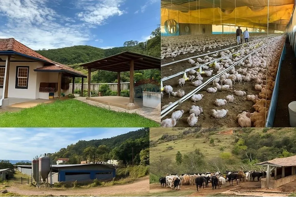 Sítio à venda de 38 ha em Bragança Paulista, SP, Brasil