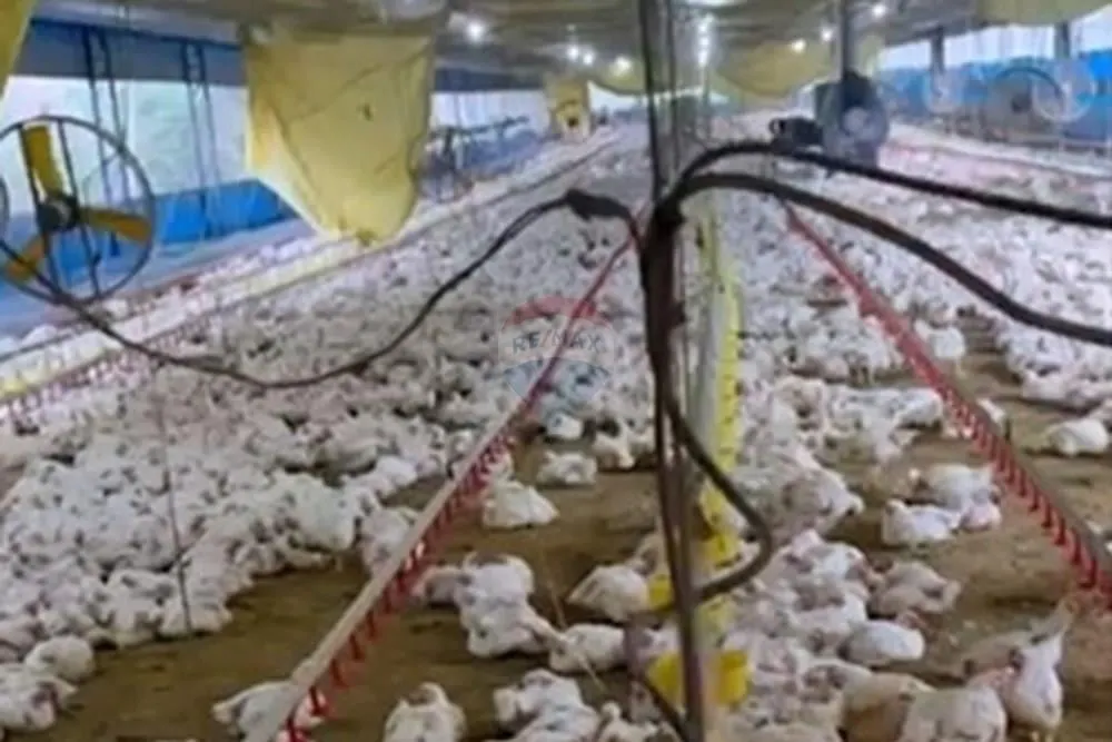 Sítio à venda de 38 ha em Bragança Paulista, SP, Brasil