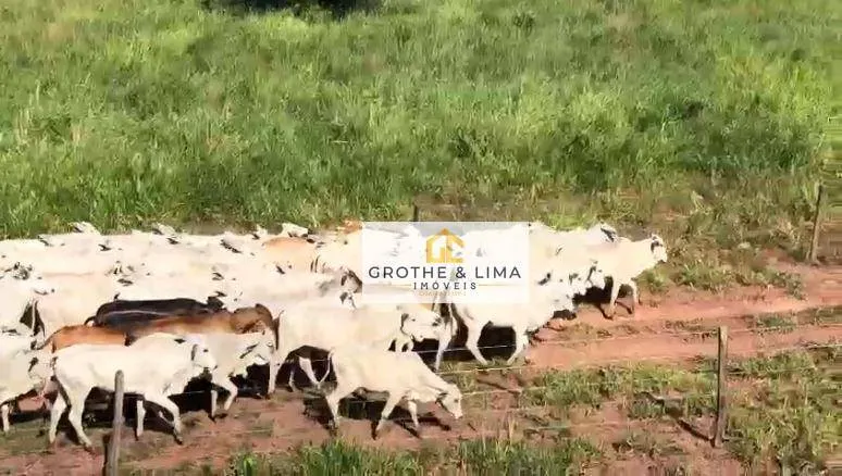 Fazenda à venda de 711 ha em Araguaína, TO, Brasil
