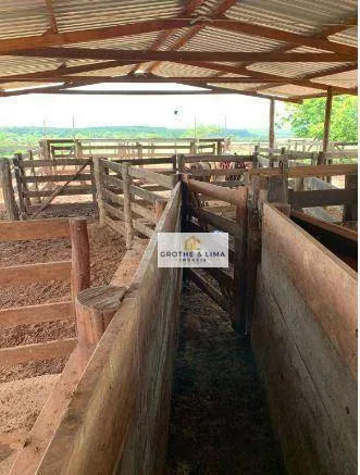 Fazenda à venda de 711 ha em Araguaína, TO, Brasil