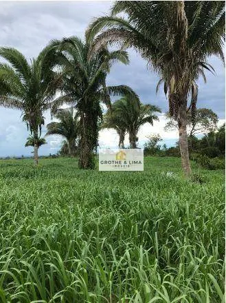Fazenda à venda de 711 ha em Araguaína, TO, Brasil