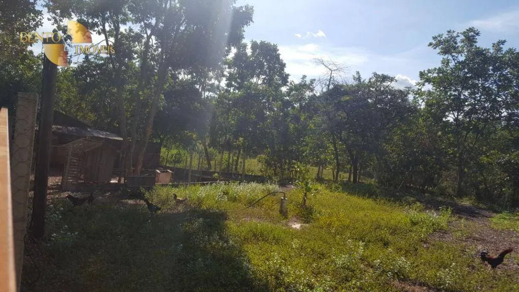 Small farm for sale of 4 acres in Santo Antônio do Leverger, MT, Brazil