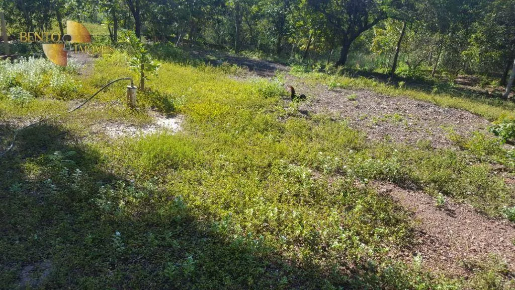 Small farm for sale of 4 acres in Santo Antônio do Leverger, MT, Brazil
