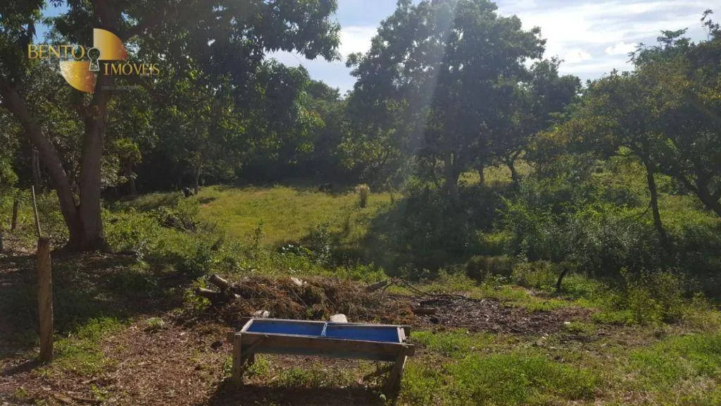 Small farm for sale of 4 acres in Santo Antônio do Leverger, MT, Brazil