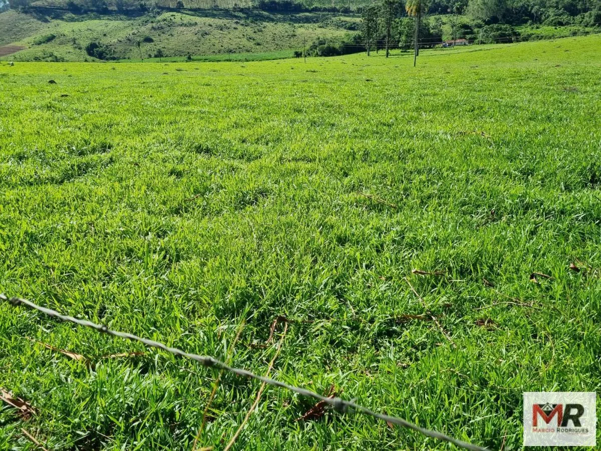 Farm for sale of 939 acres in Poços de Caldas, MG, Brazil