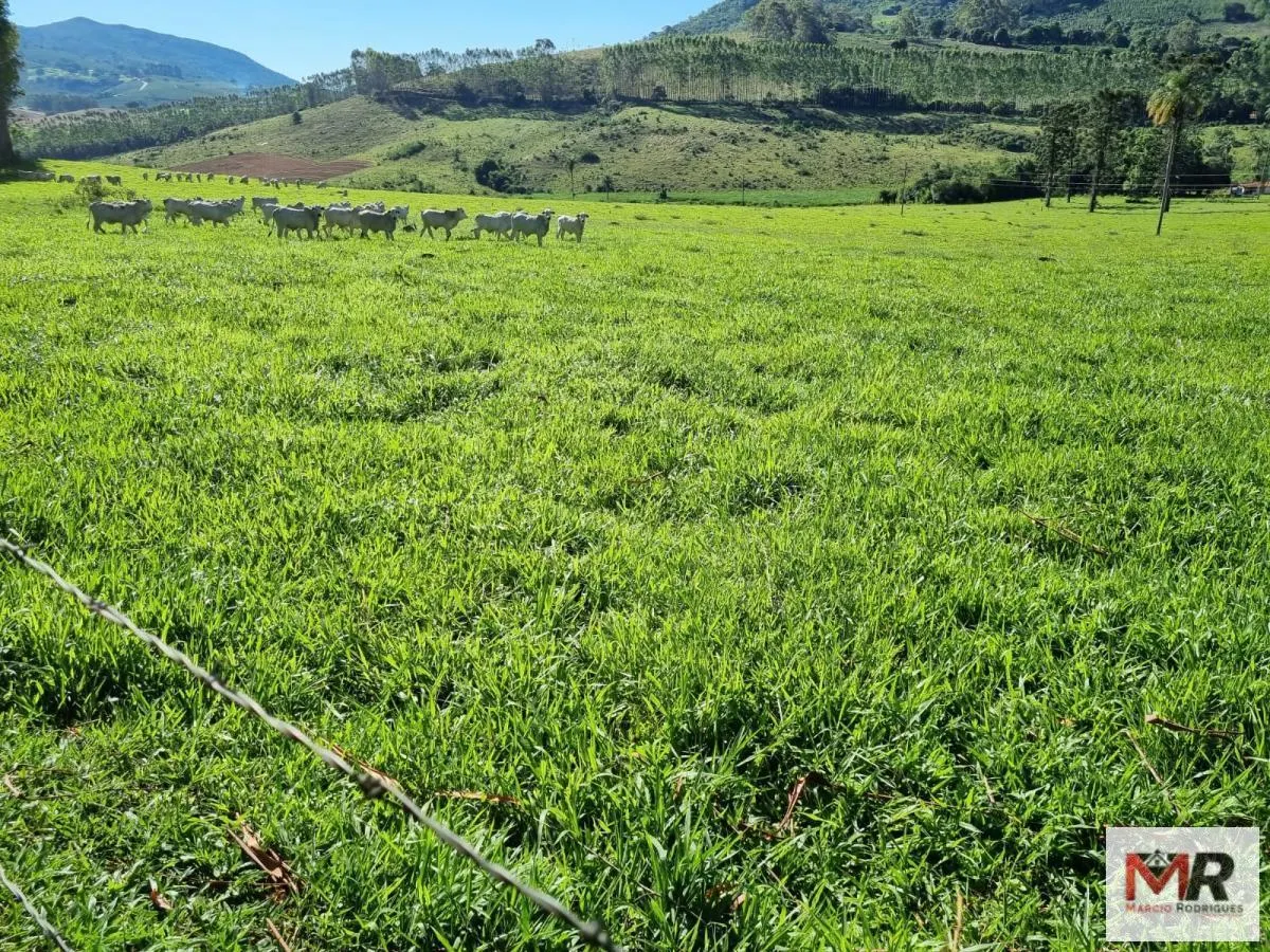 Farm for sale of 939 acres in Poços de Caldas, MG, Brazil