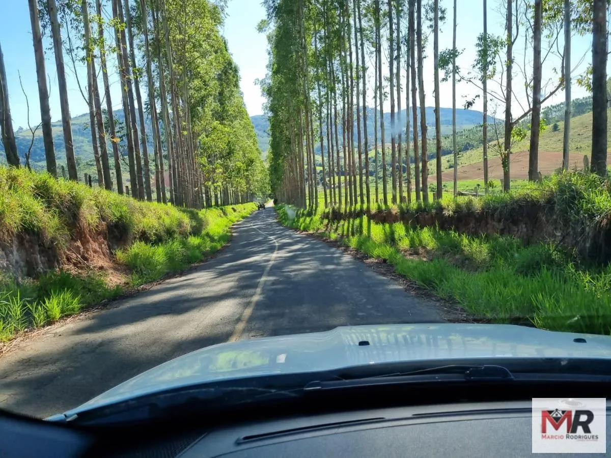 Farm for sale of 939 acres in Poços de Caldas, MG, Brazil