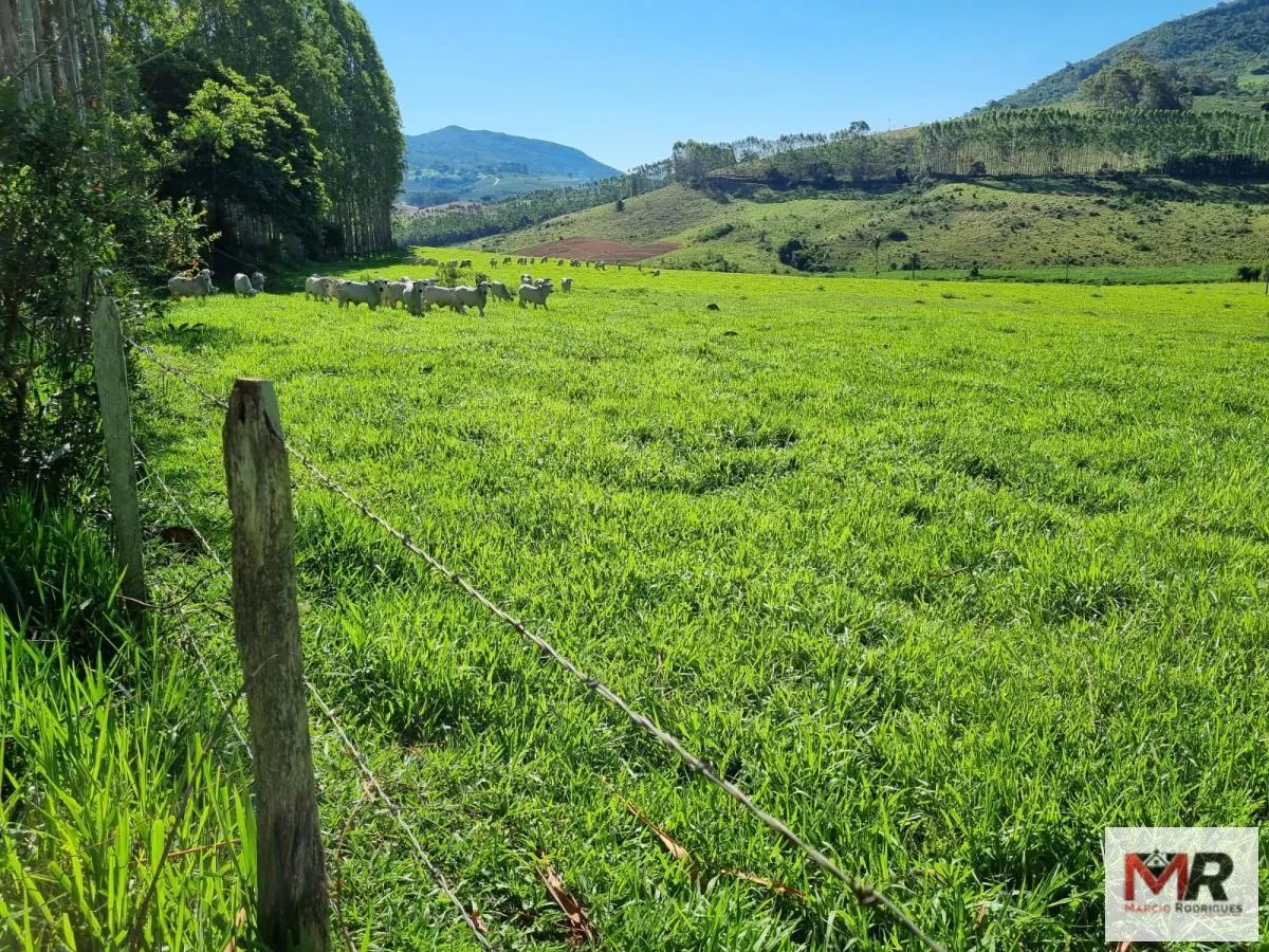 Farm for sale of 939 acres in Poços de Caldas, MG, Brazil