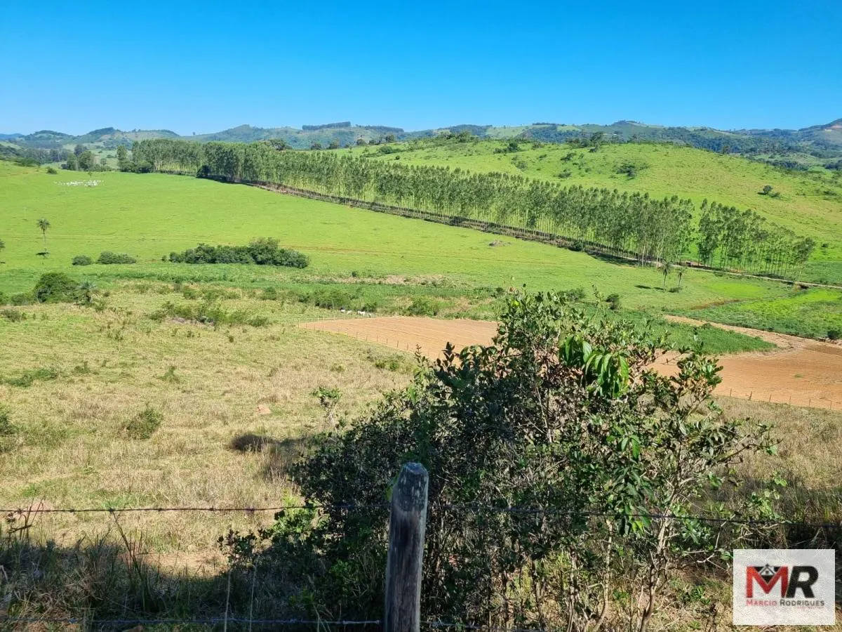 Farm for sale of 939 acres in Poços de Caldas, MG, Brazil