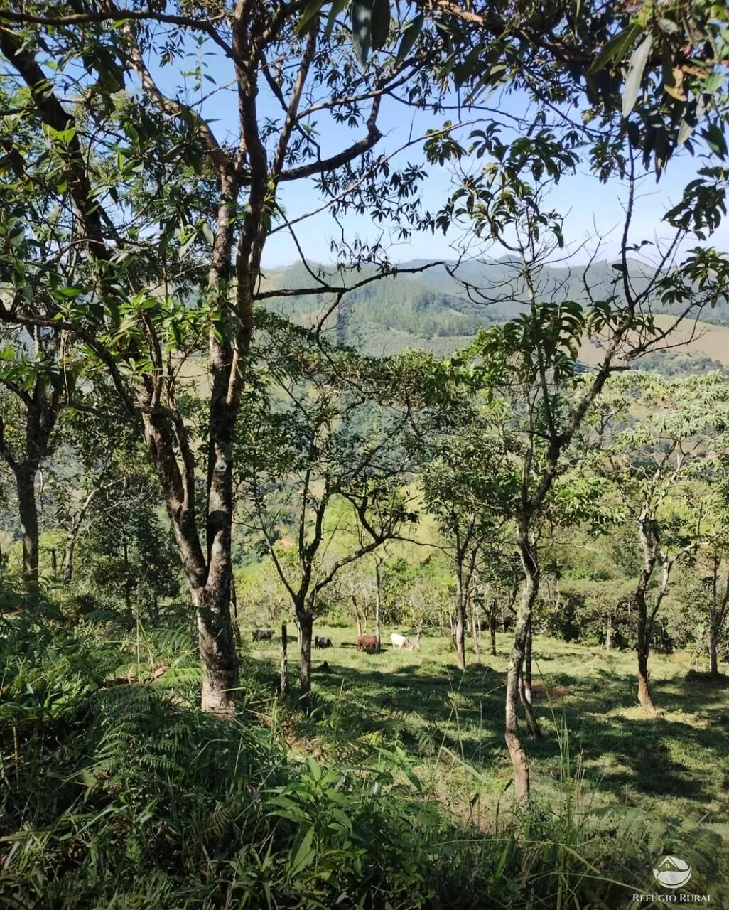 Plot for sale of 15 acres in São José dos Campos, SP, Brazil