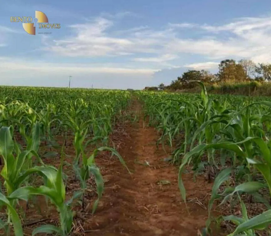 Fazenda à venda de 1.461 ha em Cuiabá, MT, Brasil