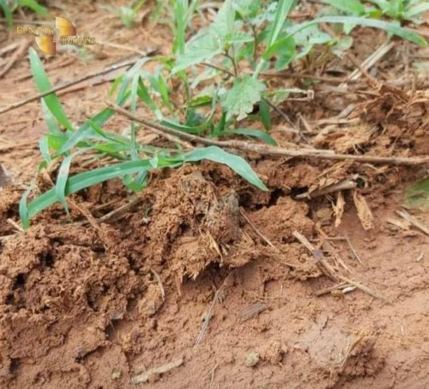 Fazenda à venda de 1.461 ha em Cuiabá, MT, Brasil
