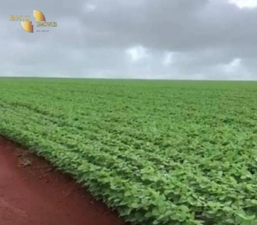 Fazenda à venda de 1.461 ha em Cuiabá, MT, Brasil