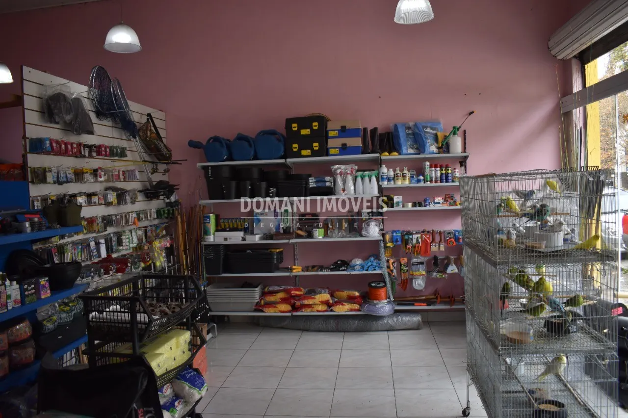 Comercial à venda e para Alugar de 650 m² em Campos do Jordão, SP, Brasil