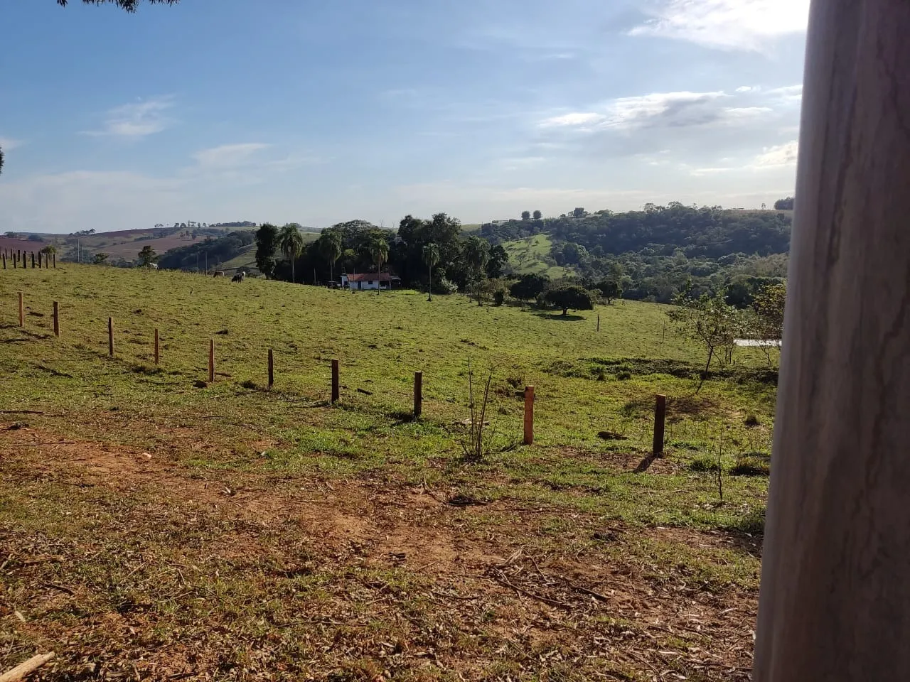 Small farm for sale of 87 acres in Itapetininga, SP, Brazil