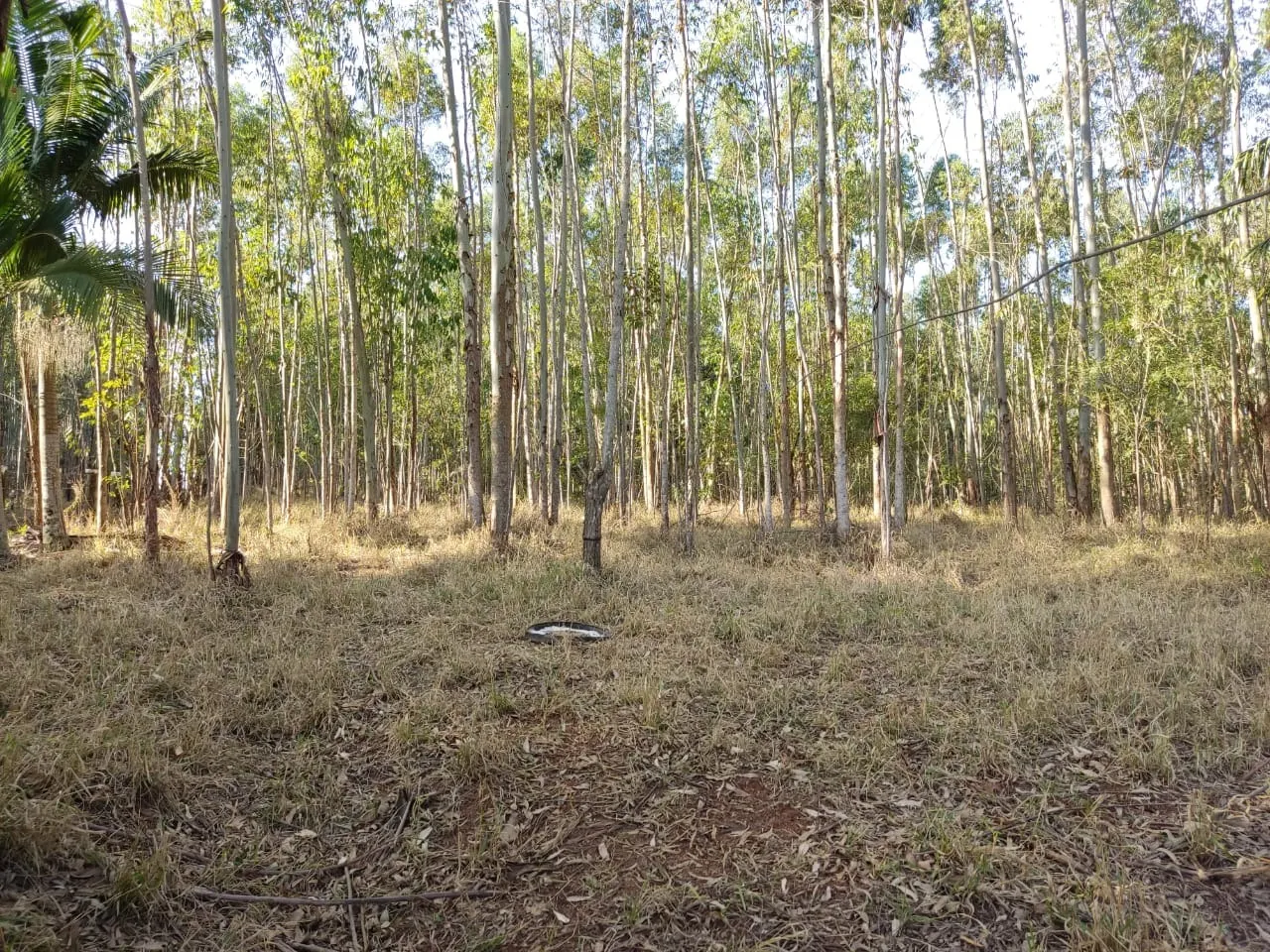 Small farm for sale of 87 acres in Itapetininga, SP, Brazil