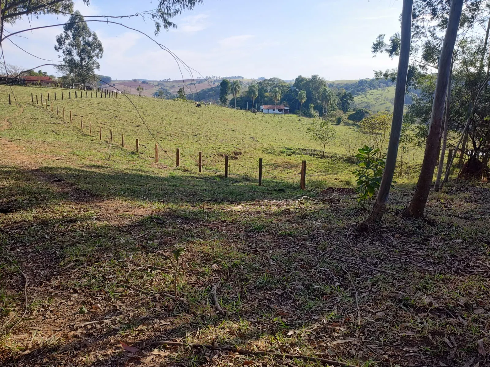 Small farm for sale of 87 acres in Itapetininga, SP, Brazil