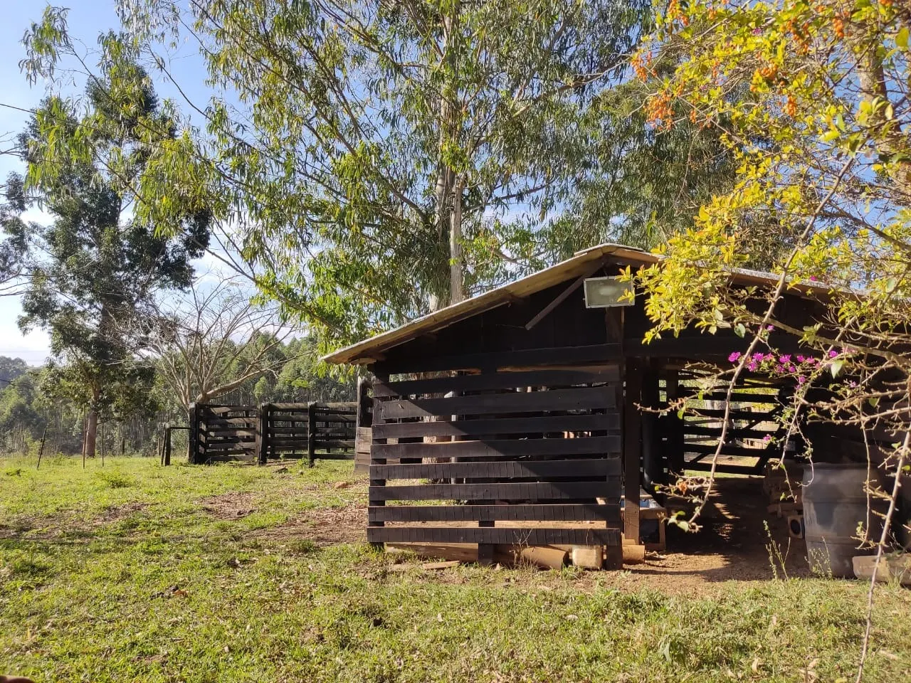 Small farm for sale of 87 acres in Itapetininga, SP, Brazil