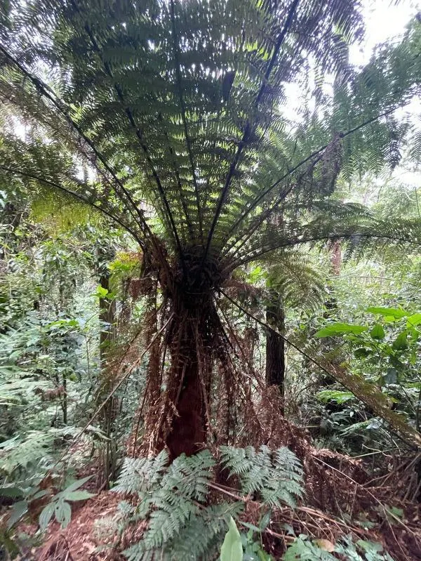 Fazenda à venda de 1.692 ha em São Lourenço da Serra, SP, Brasil