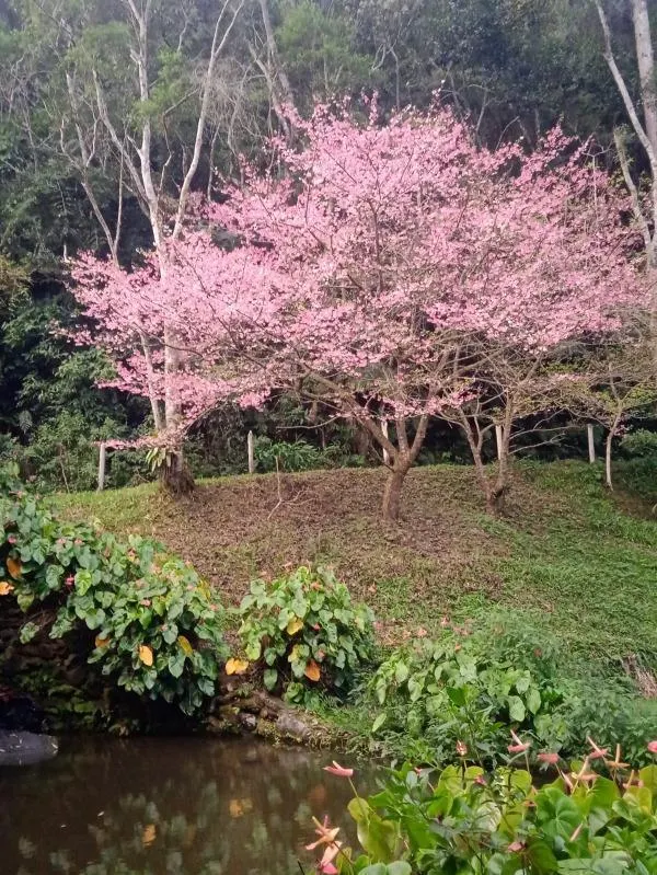 Fazenda à venda de 1.692 ha em São Lourenço da Serra, SP, Brasil
