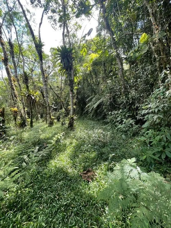 Fazenda à venda de 1.692 ha em São Lourenço da Serra, SP, Brasil