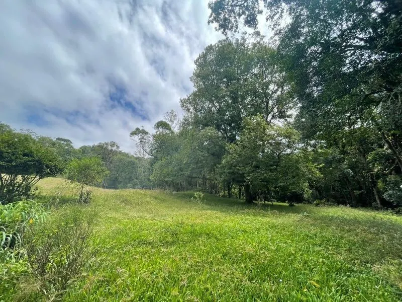 Fazenda à venda de 1.692 ha em São Lourenço da Serra, SP, Brasil