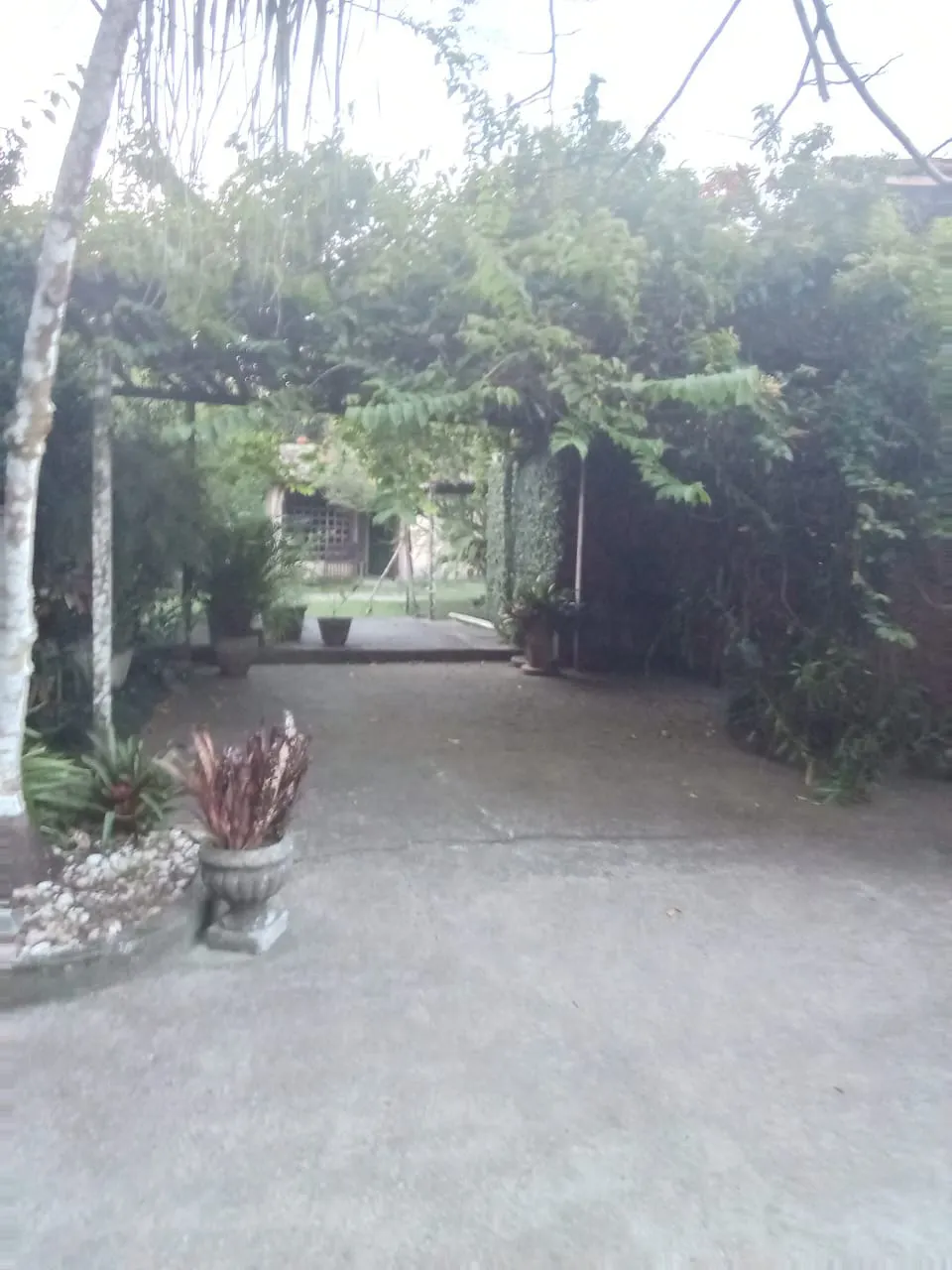Small farm for sale of 7 acres in Recife, PE, Brazil