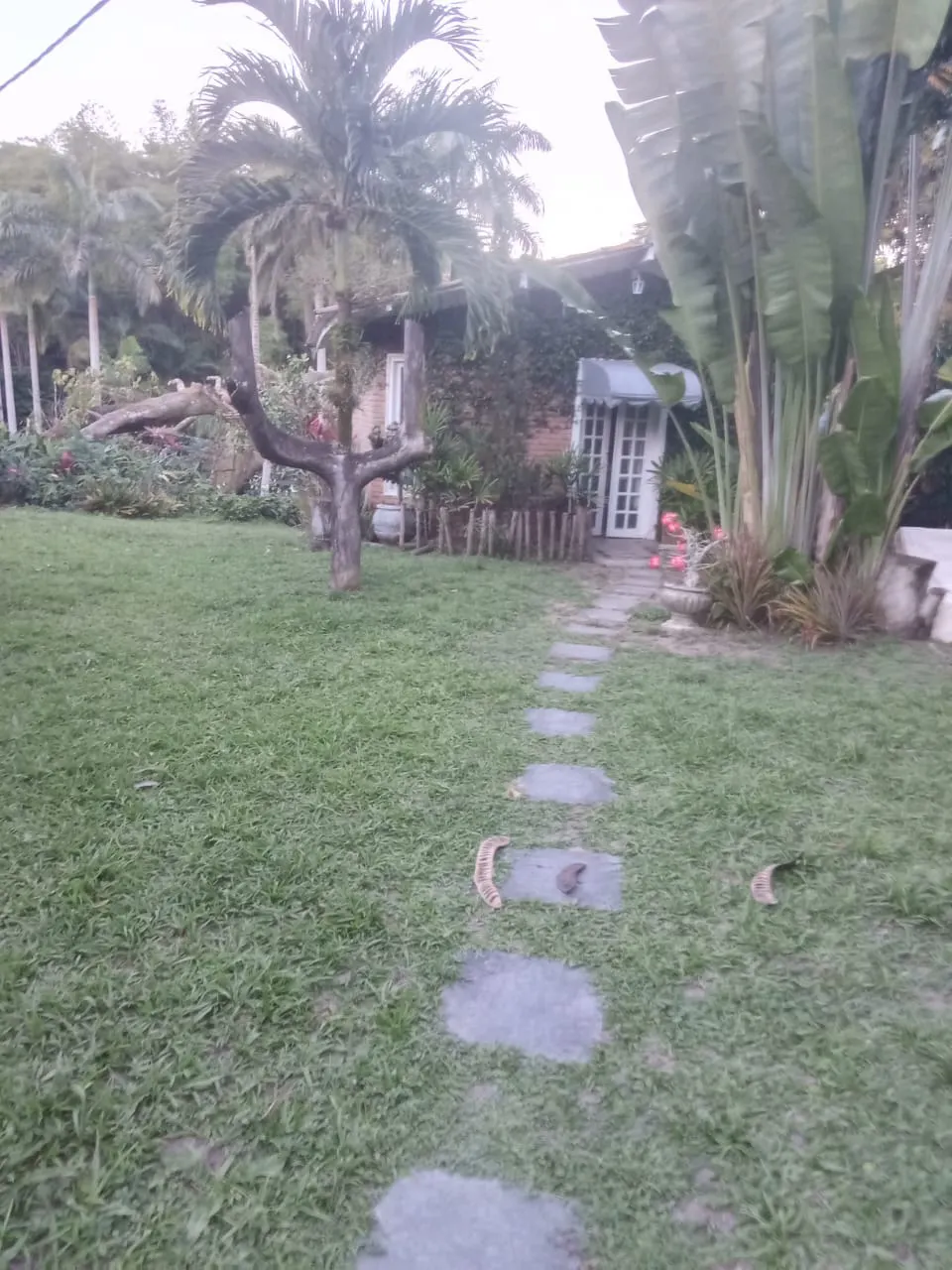 Small farm for sale of 7 acres in Recife, PE, Brazil