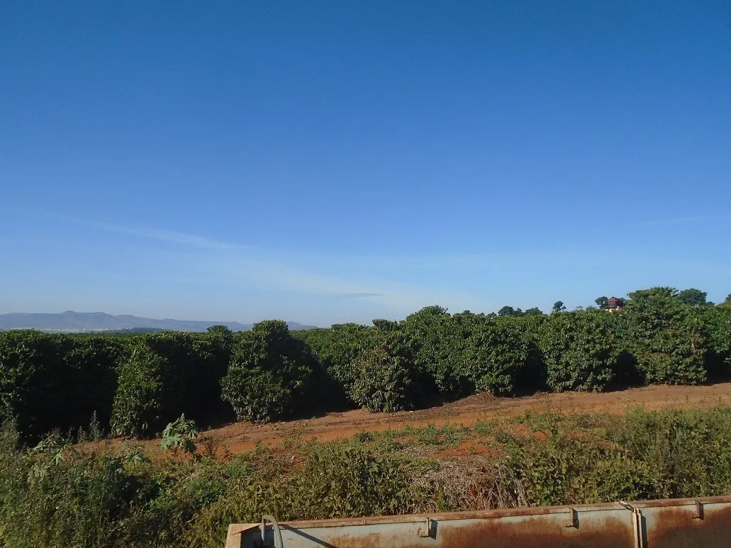 Fazenda à venda de 1.333 ha em Piumhi, MG, Brasil