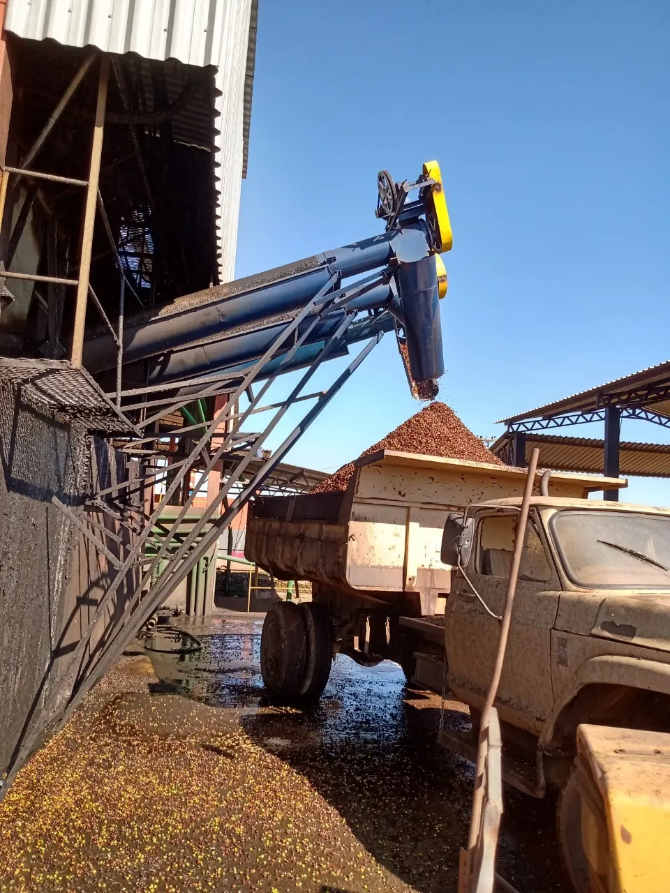 Fazenda à venda de 1.333 ha em Piumhi, MG, Brasil