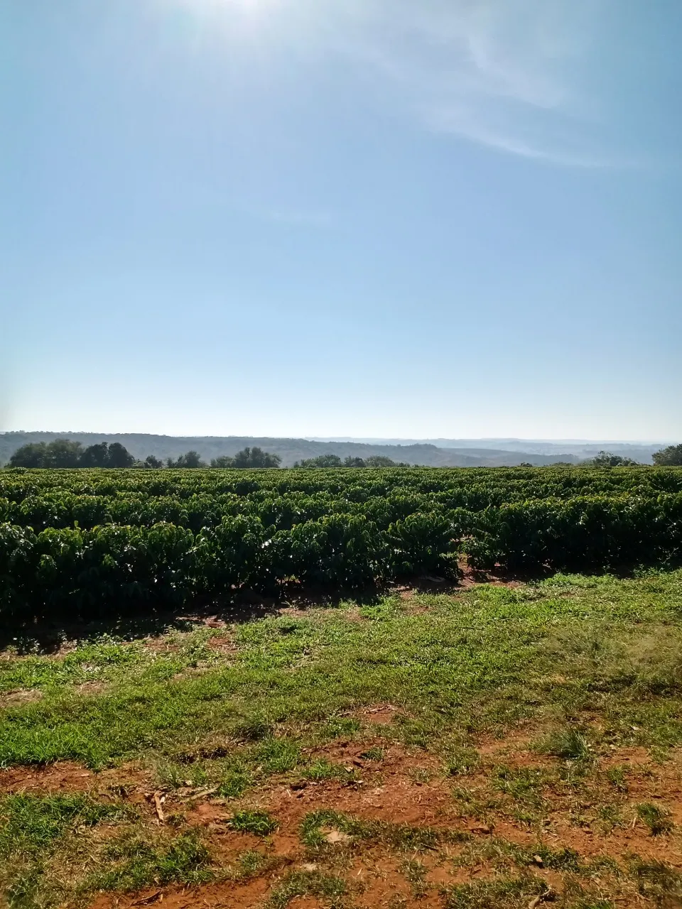 Fazenda à venda de 1.333 ha em Piumhi, MG, Brasil