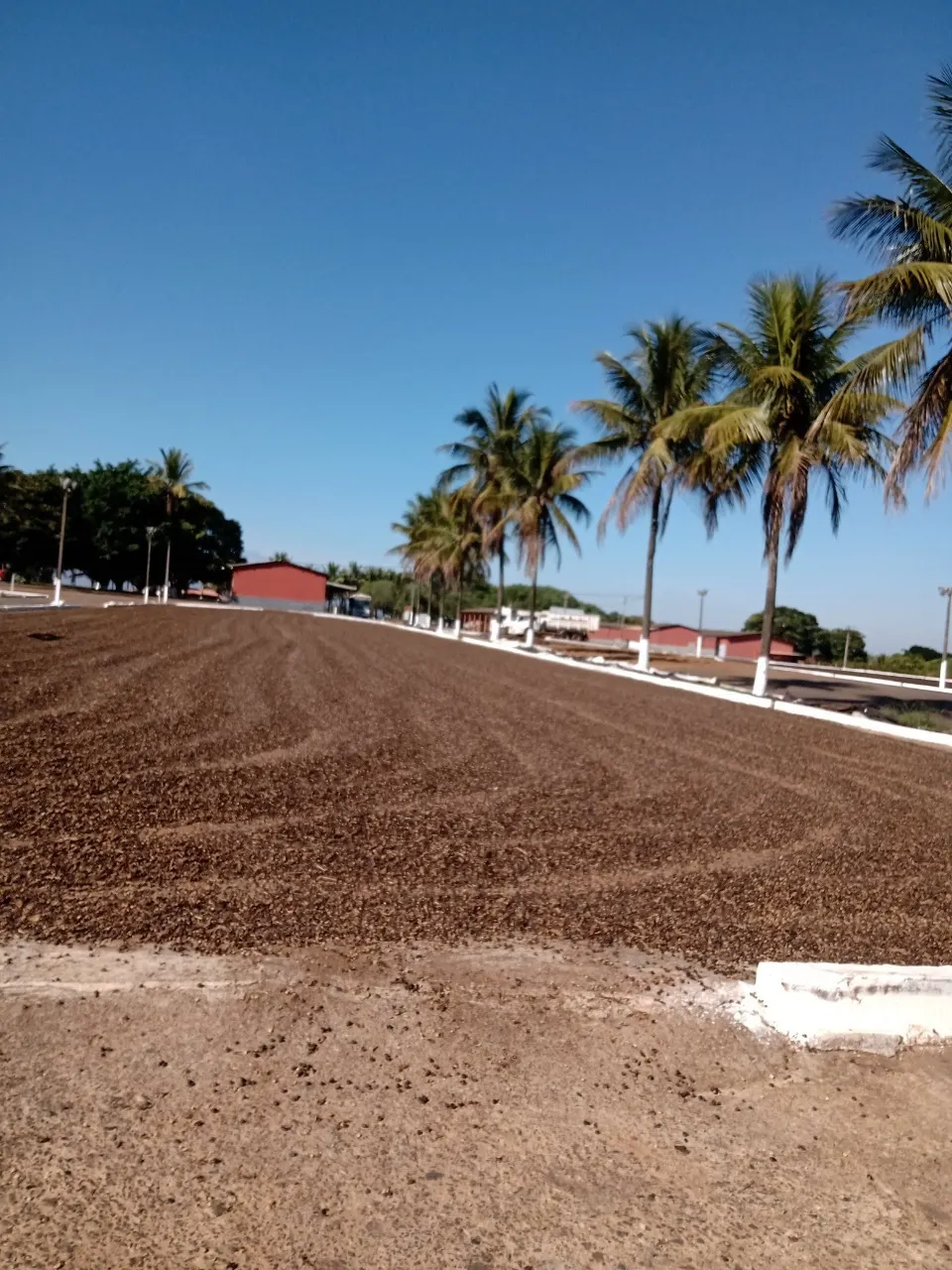 Fazenda à venda de 1.333 ha em Piumhi, MG, Brasil