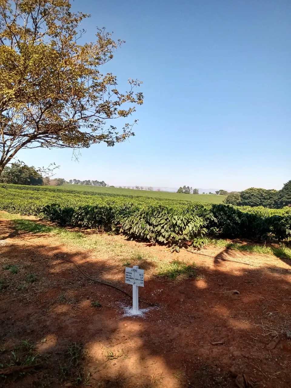 Fazenda à venda de 1.333 ha em Piumhi, MG, Brasil