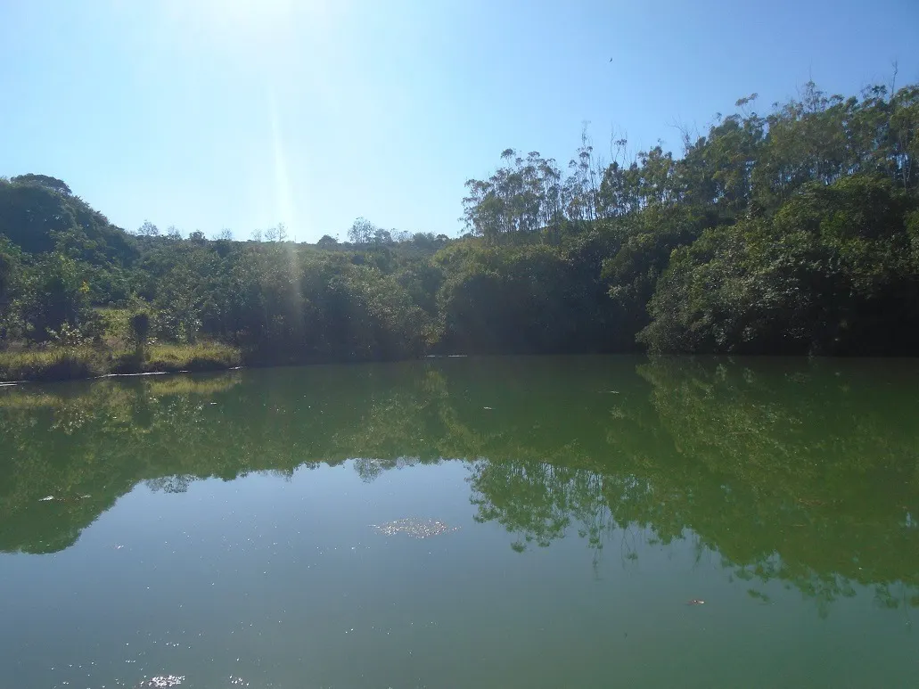 Fazenda à venda de 1.333 ha em Piumhi, MG, Brasil
