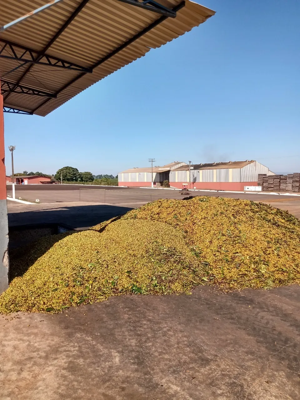 Fazenda à venda de 1.333 ha em Piumhi, MG, Brasil