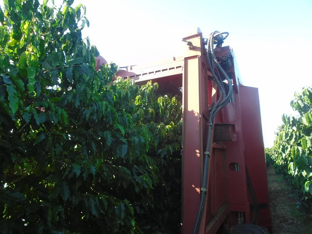 Fazenda à venda de 1.333 ha em Piumhi, MG, Brasil