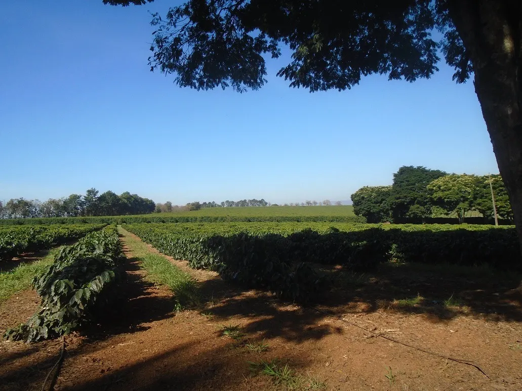 Fazenda à venda de 1.333 ha em Piumhi, MG, Brasil