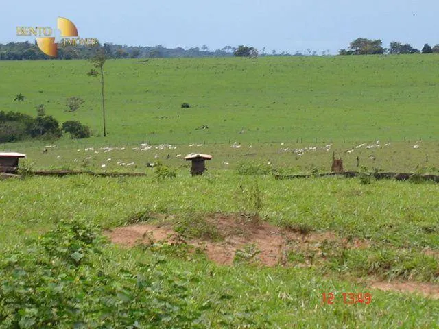 Fazenda à venda de 8.645 ha em Tangará da Serra, MT, Brasil