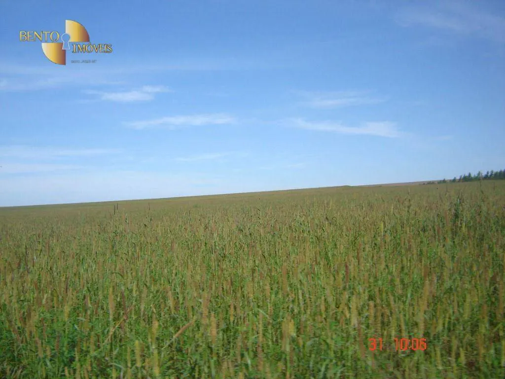 Fazenda à venda de 8.645 ha em Tangará da Serra, MT, Brasil