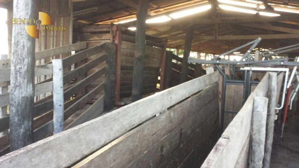 Fazenda à venda de 8.645 ha em Tangará da Serra, MT, Brasil