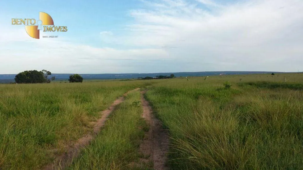 Fazenda à venda de 8.645 ha em Tangará da Serra, MT, Brasil