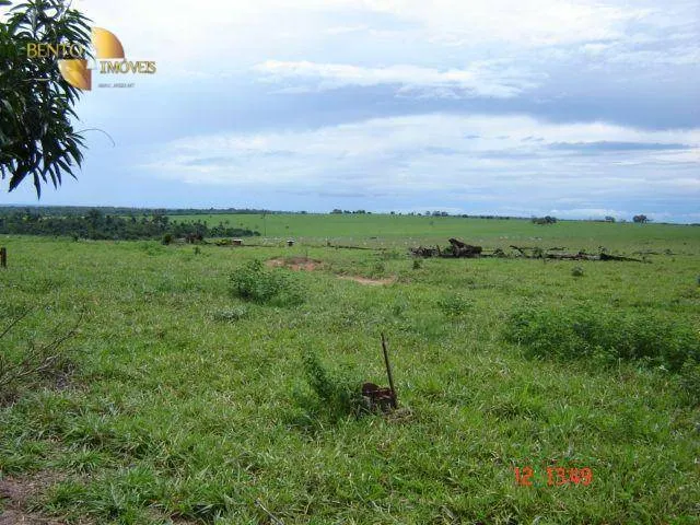 Fazenda à venda de 8.645 ha em Tangará da Serra, MT, Brasil