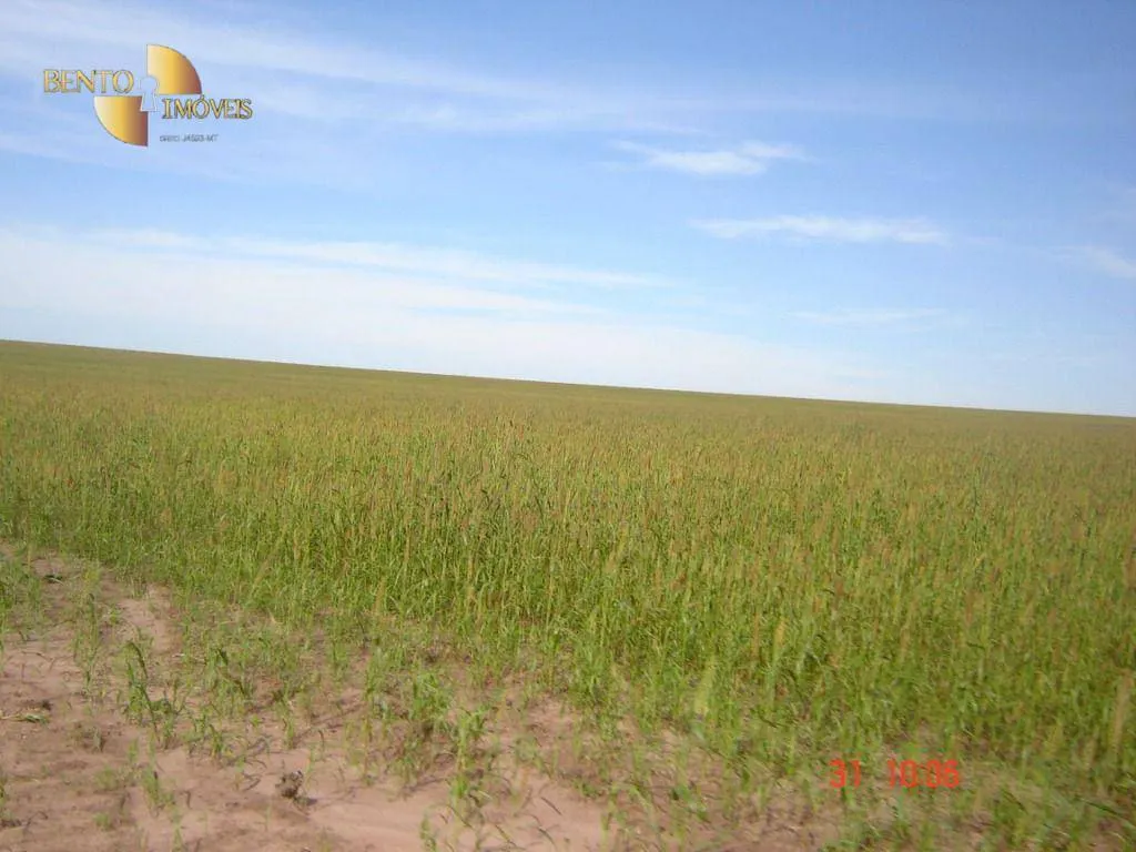 Fazenda à venda de 8.645 ha em Tangará da Serra, MT, Brasil